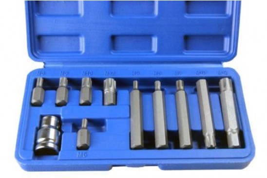 Bittenset Spline 3/8" 11-delig